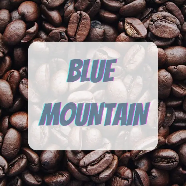 Café Blue Mountain